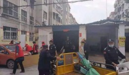 南阳学校爆料案件最新,真相揭开，校园安全再引关注