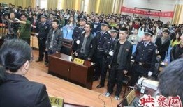 南阳学校爆料案件最新,真相揭开，校园安全再引关注