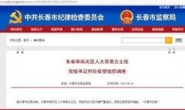 南关区最新爆料信息,揭秘神秘项目背后的惊人真相！