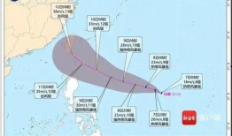 杭州双台风最新爆料,双面风暴，防御措施升级