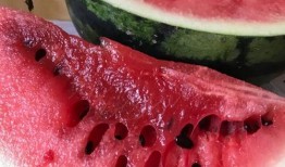 郓城最新瓜爆料,揭秘最新瓜爆料背后的故事